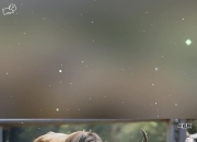 开云体育官网-关于公牛遭受连败，困扰球队的是什么？的信息