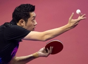 开云官方app入口-比利时乒乓球队绝杀波兰乒乓球队，许昕打破历史纪录的简单介绍