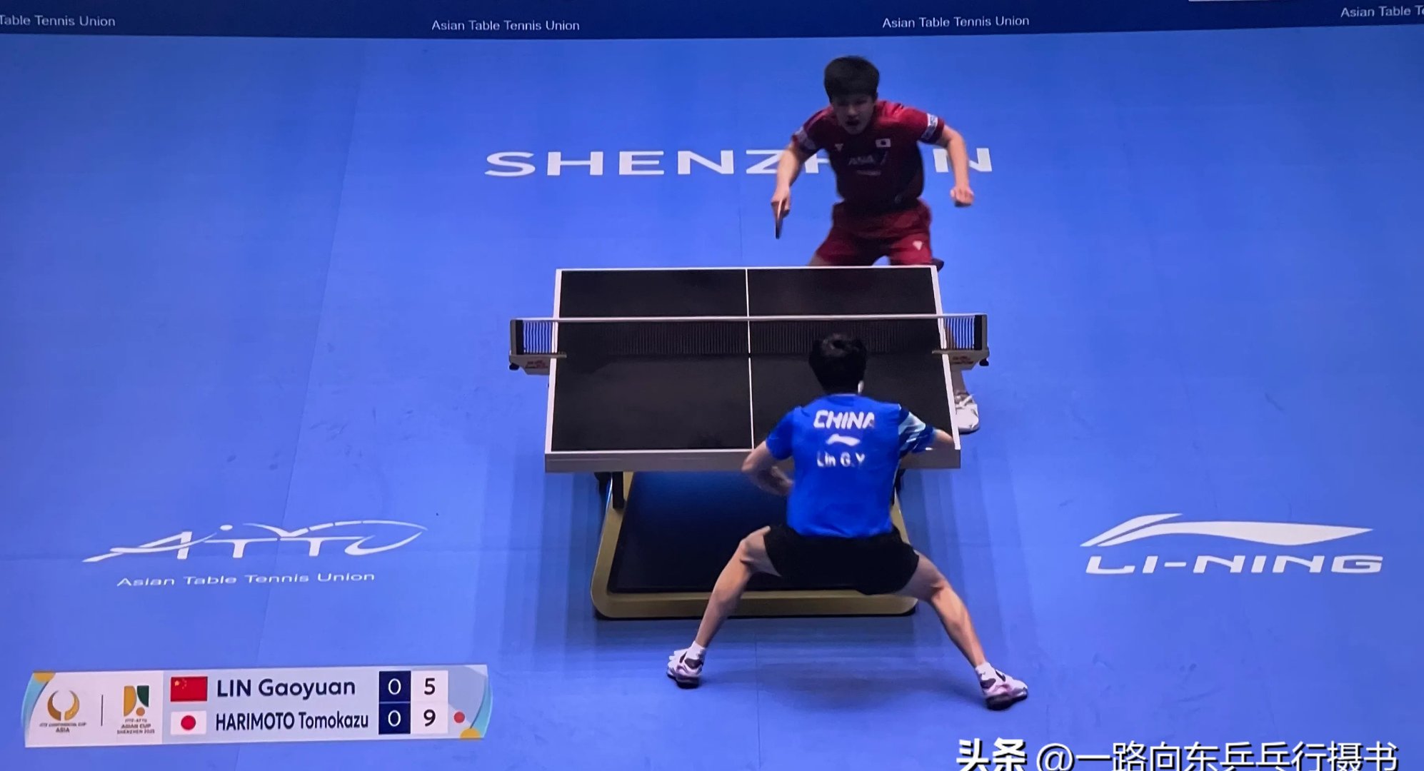 比利时乒乓球队绝杀中国乒乓球队,张本智和制霸全场 比利时乒乓球队绝杀中国乒乓球队,张本智和制霸全场