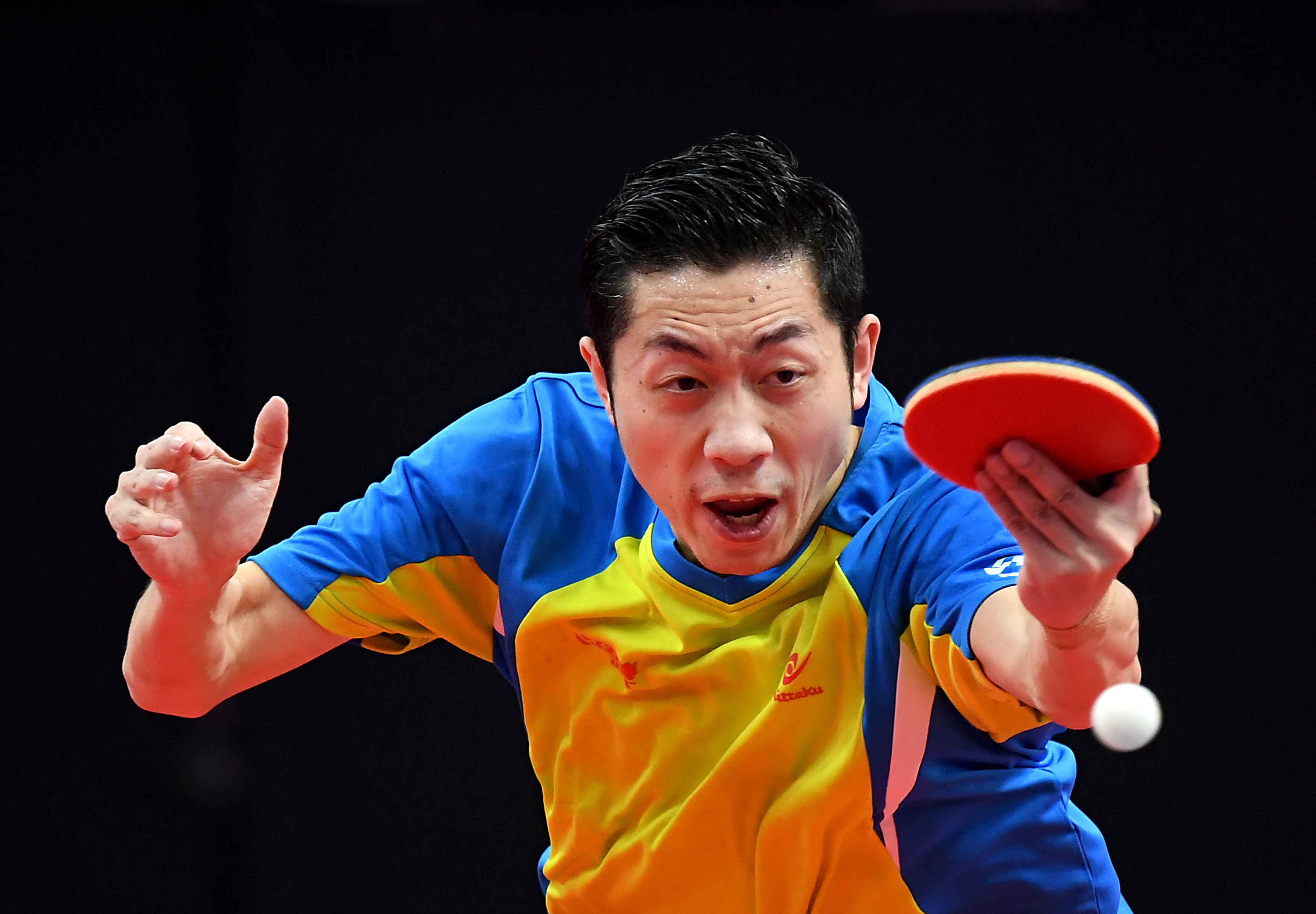 中国乒乓球队强势波兰乒乓球队,许昕绝境逆转的简单介绍 中国乒乓球队强势波兰乒乓球队,许昕绝境逆转的简单介绍