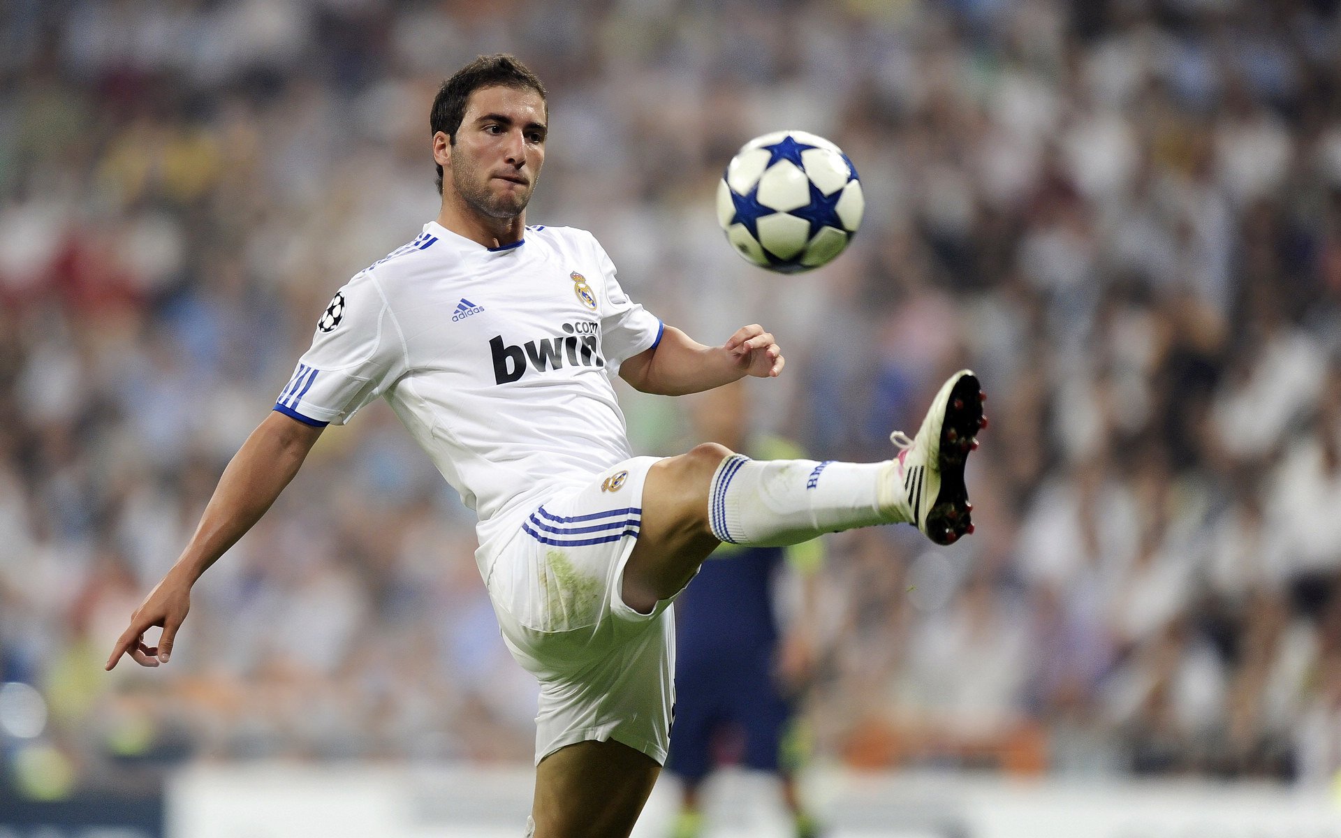 从美网硬地到戴维斯杯，鲁德的双重奏，北欧网球的崭新黎明